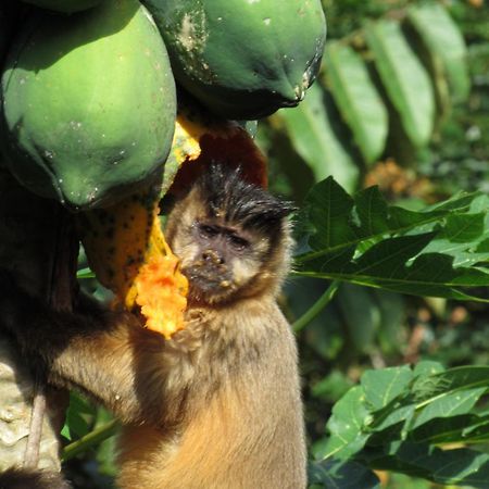 Cantos Da Mata Chapada dos Guimarães Zewnętrze zdjęcie