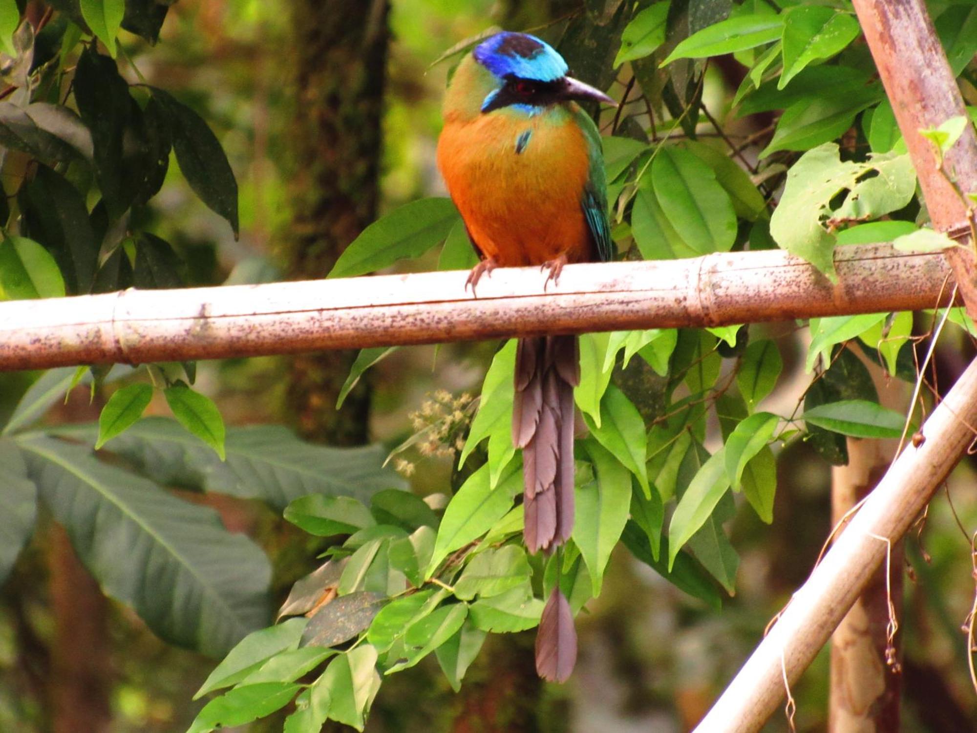Cantos Da Mata Chapada dos Guimarães Zewnętrze zdjęcie