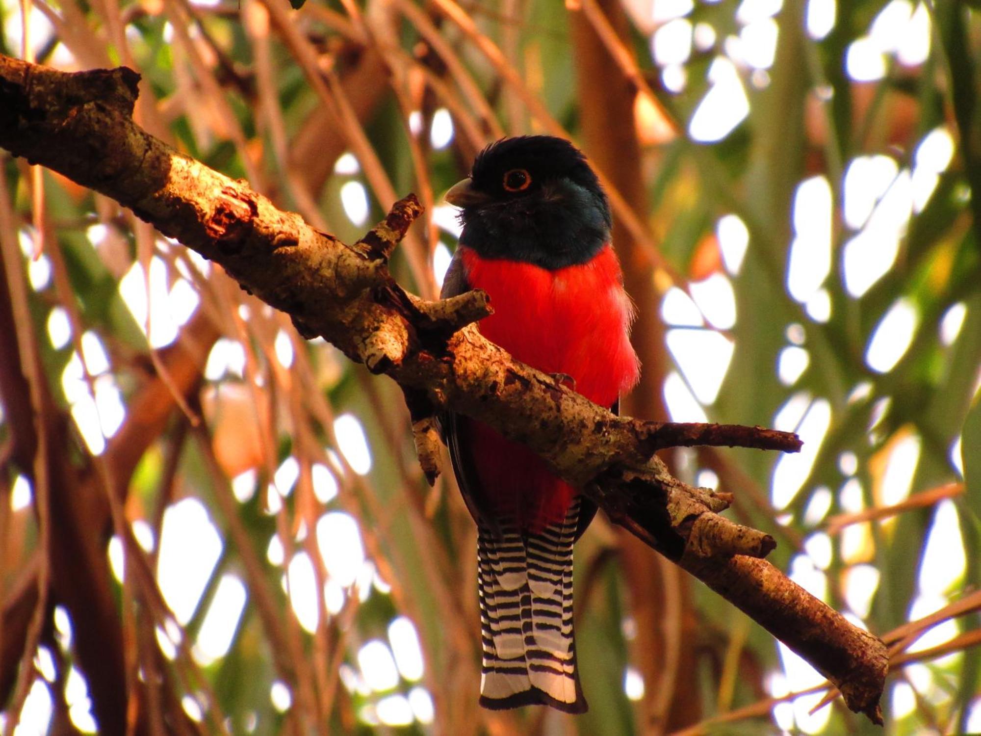 Cantos Da Mata Chapada dos Guimarães Zewnętrze zdjęcie