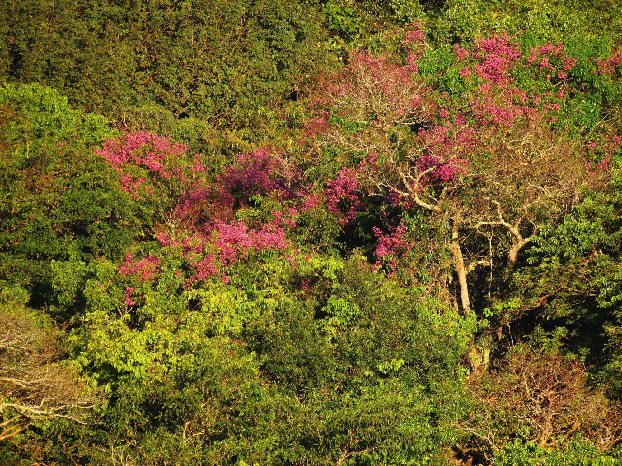 Cantos Da Mata Chapada dos Guimarães Zewnętrze zdjęcie