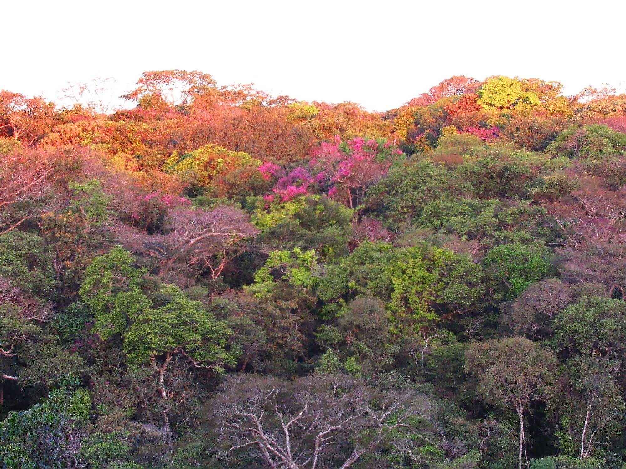 Cantos Da Mata Chapada dos Guimarães Zewnętrze zdjęcie